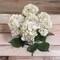 20" Hydrangea Bush - 7 Silk Flowers with Lifelike Leaves, Artificial Greenery, Perfect for Home, Office & Wedding Décor - Spring & Year-Round Accent, Floral Home by Artificial Flowers